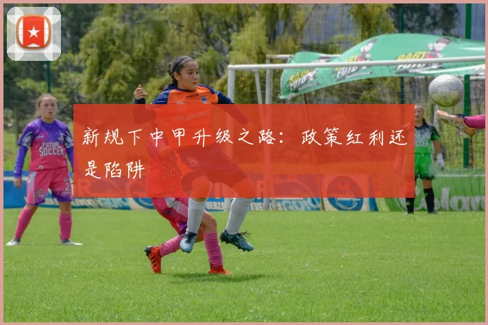 新规下中甲升级之路：政策红利还是陷阱