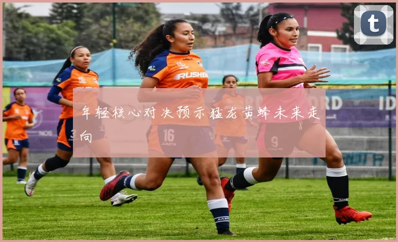 年轻核心对决预示猛龙黄蜂未来走向