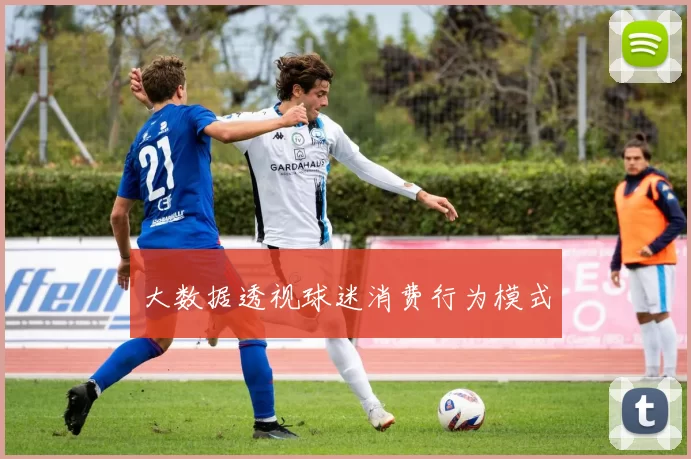 大数据透视球迷消费行为模式