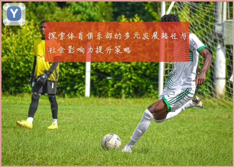 探索体育俱乐部的多元发展路径与社会影响力提升策略