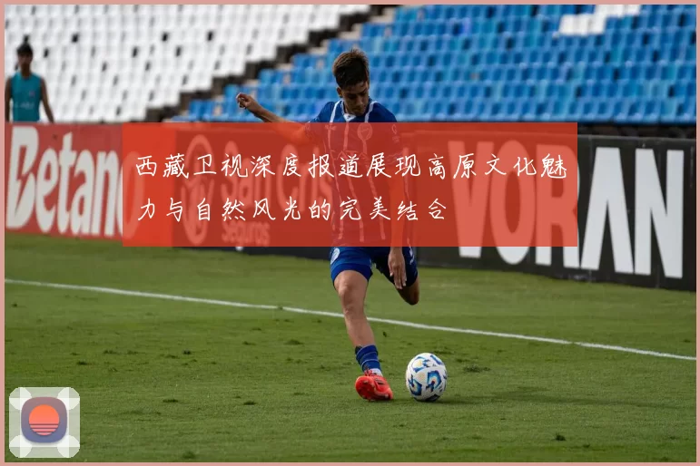 西藏卫视深度报道展现高原文化魅力与自然风光的完美结合
