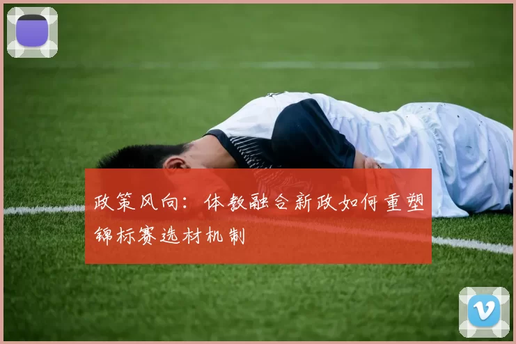 政策风向：体教融合新政如何重塑锦标赛选材机制