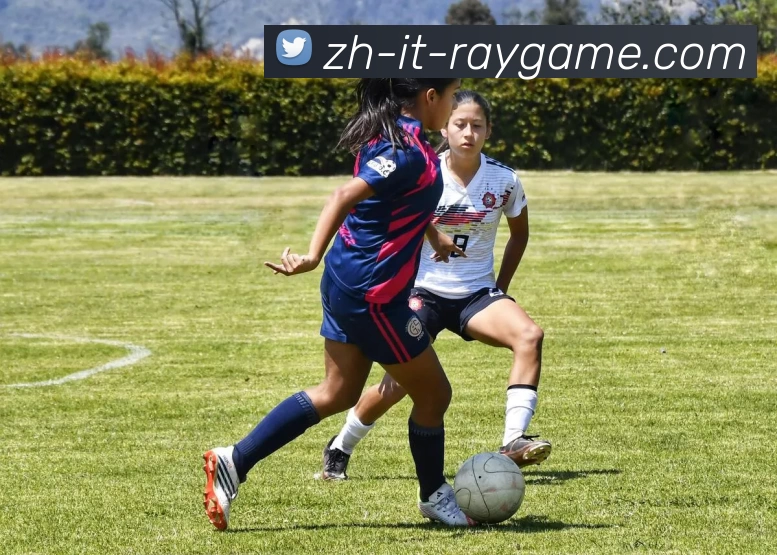 雷竞技APP 体育赛事宣传图